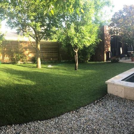 A Lombre Du Magnolia Apartman L'Isle-sur-la-Sorgue Kültér fotó