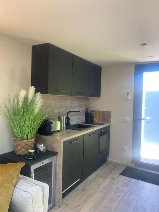 A Lombre Du Magnolia Apartman L'Isle-sur-la-Sorgue Kültér fotó